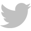 Logo Twitter Gris